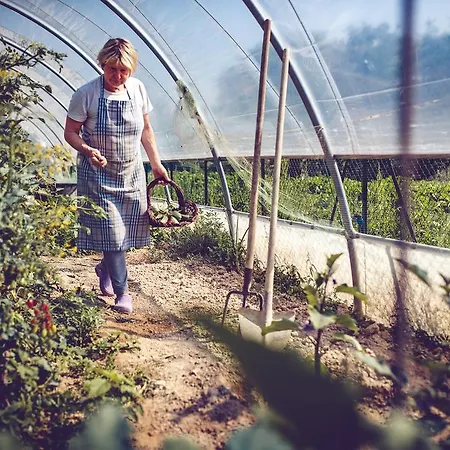 Casal San Sergio * Fossombrone