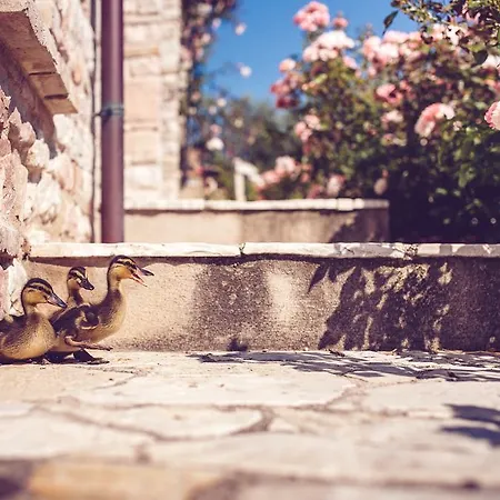 Bauernhof Casal San Sergio Fossombrone