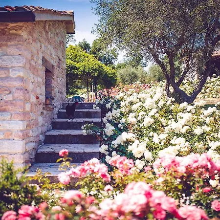 Casal San Sergio Bauernhof Fossombrone