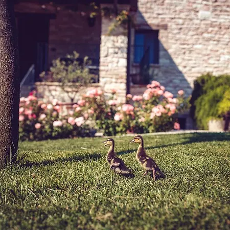 Casal San Sergio * Fossombrone