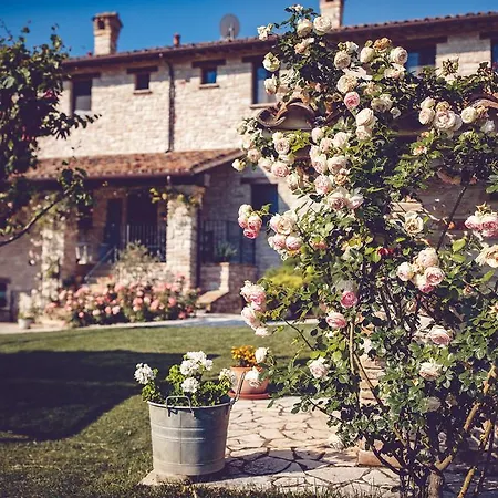 Casal San Sergio Bauernhof Fossombrone