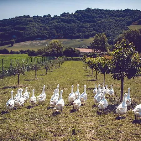 Farm stay Casal San Sergio Fossombrone