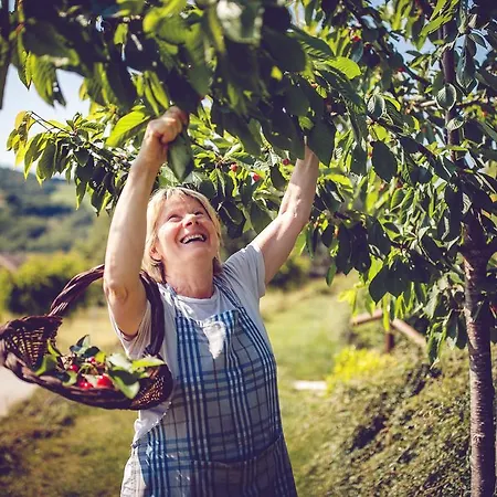 Casal San Sergio Bauernhof *