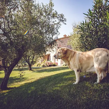 Casal San Sergio Bauernhof *