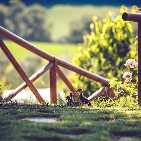 Casal San Sergio Fossombrone