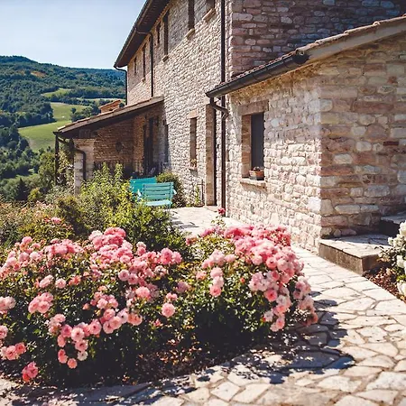 Farm stay Agriturismo Casal San Sergio Fossombrone