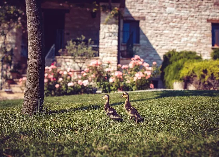 Casal San Sergio * فوسومبرون